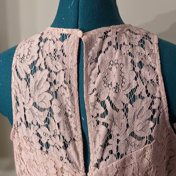 Eliza J Pink A-Line Lace Dress - Size 8 - Picture 3 of 4